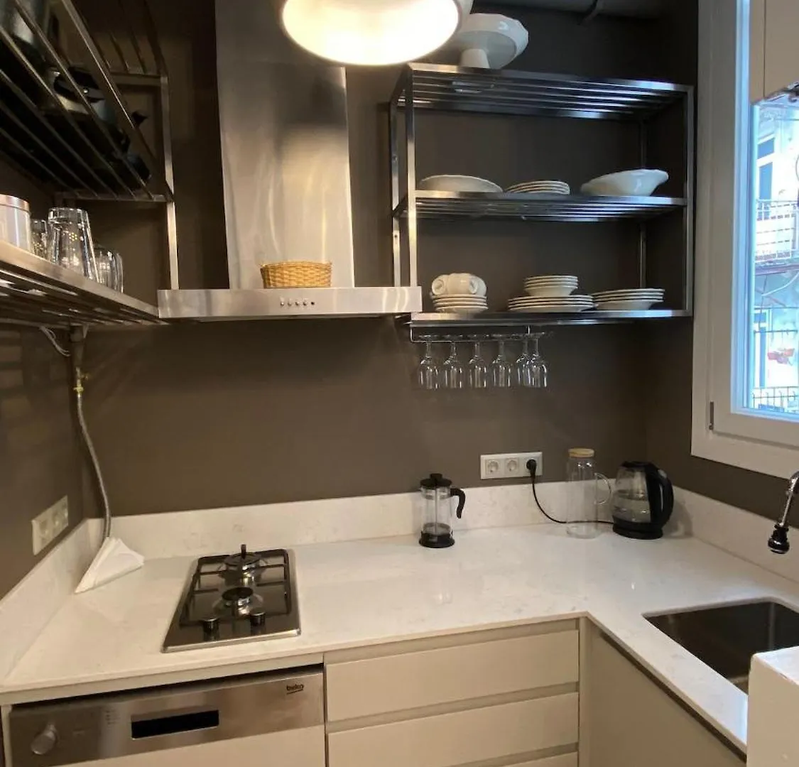 Beyoglu,Luxury,Historical,Newly Renovated,Istiklal Apartment Istanbul 0*,